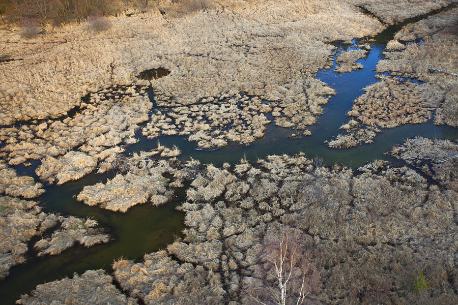 Libavské okavango