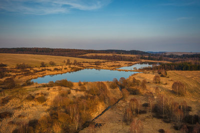 Heřmánky