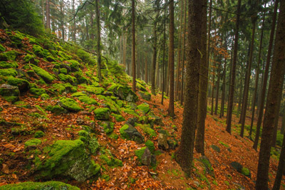 Podzim na Brdech